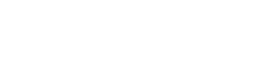 Logo stargate group